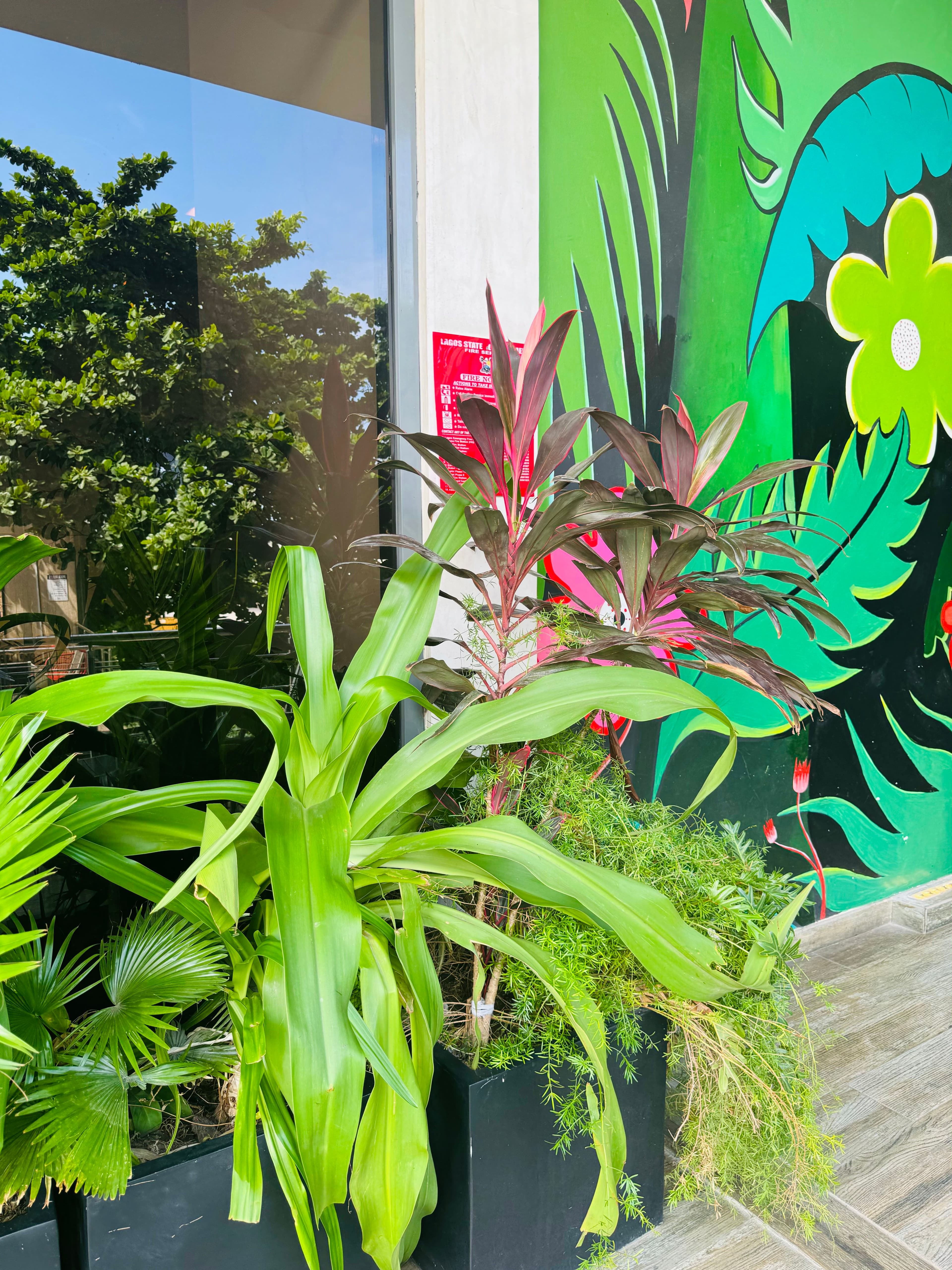 green plants over a floral green mural